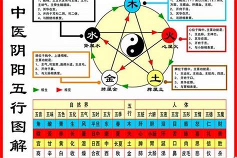 1984年五行|1984年到底是金命还是木命？1984年属鼠金命缺什么？